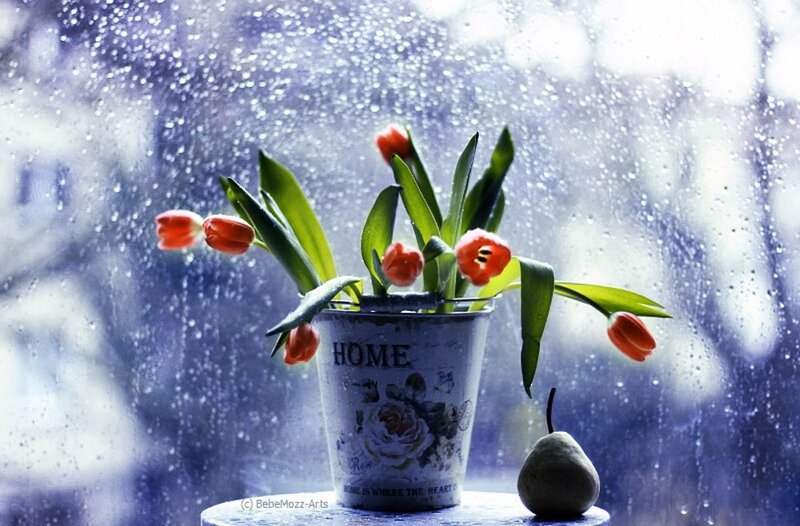 Tulips in a Bucket — Blue