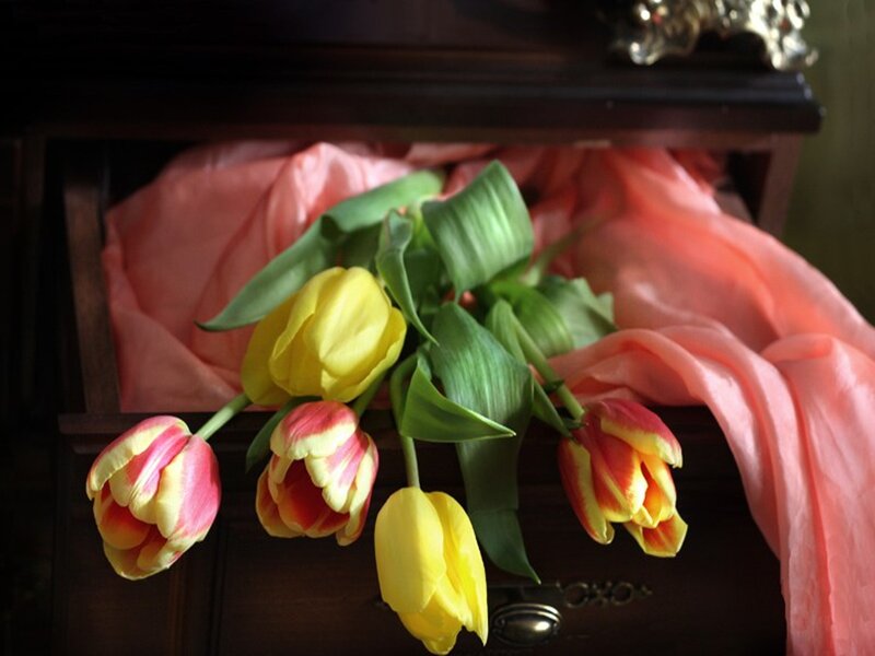 Tulips in a Drawer