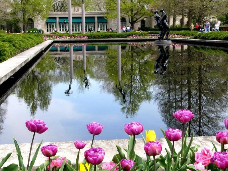 Tulips in a Garden — Pink
