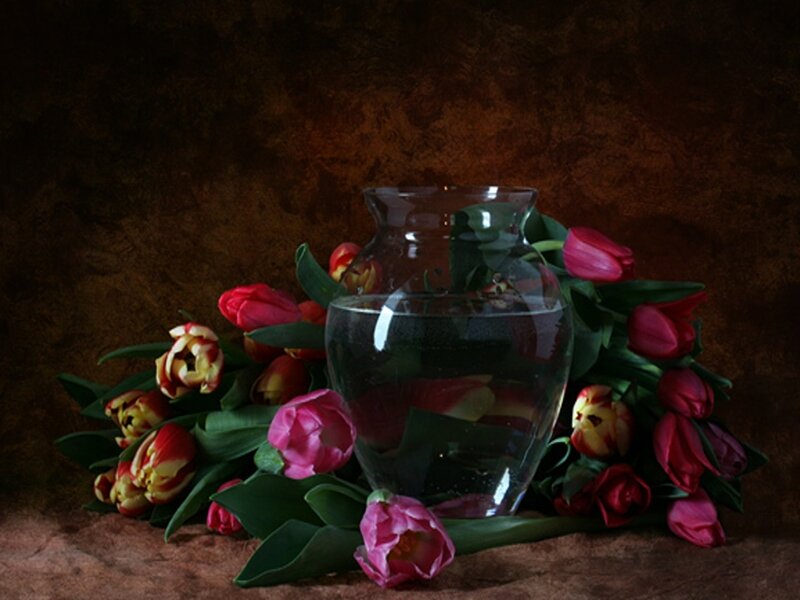 tulips in a glass vase