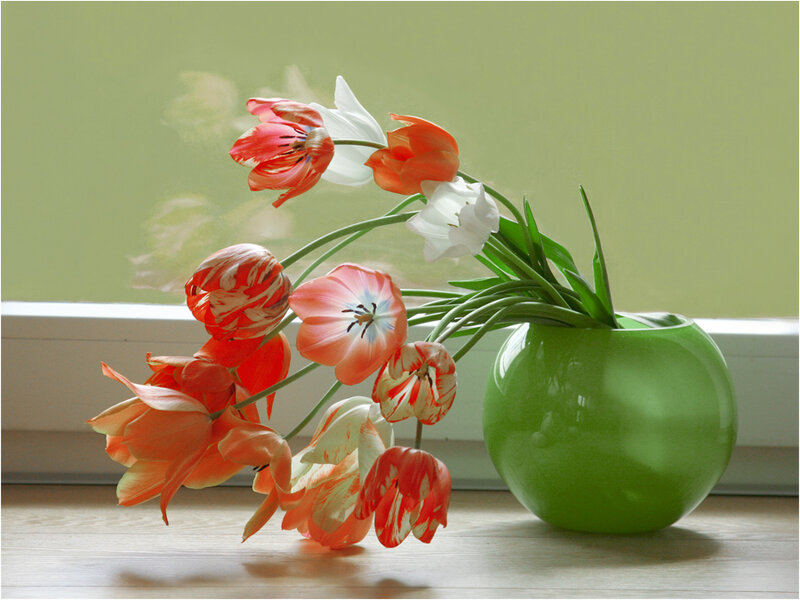 Tulips in a Green Vase — Calm