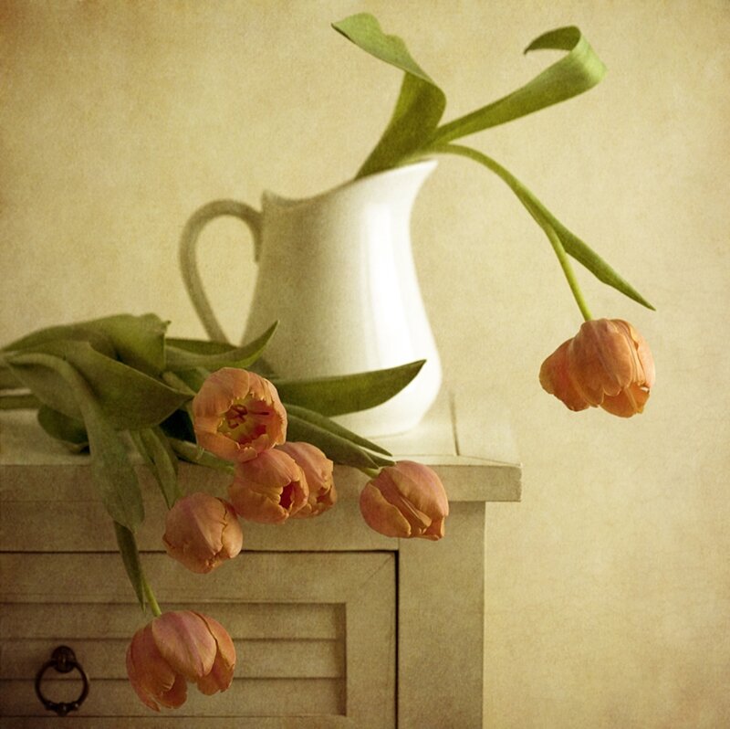 Tulips in a Pitcher — Beige