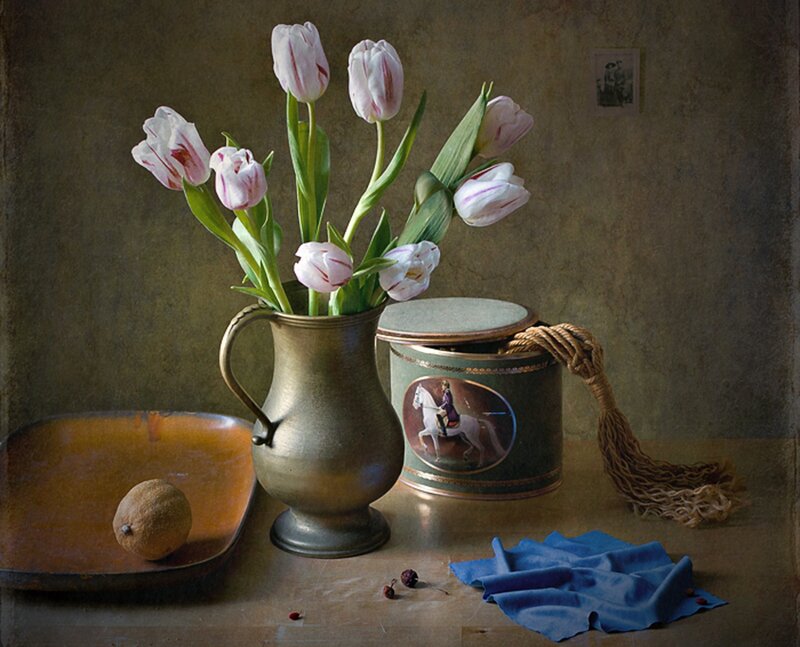 Tulips in a Pitcher — Brown, Calm, Photograph
