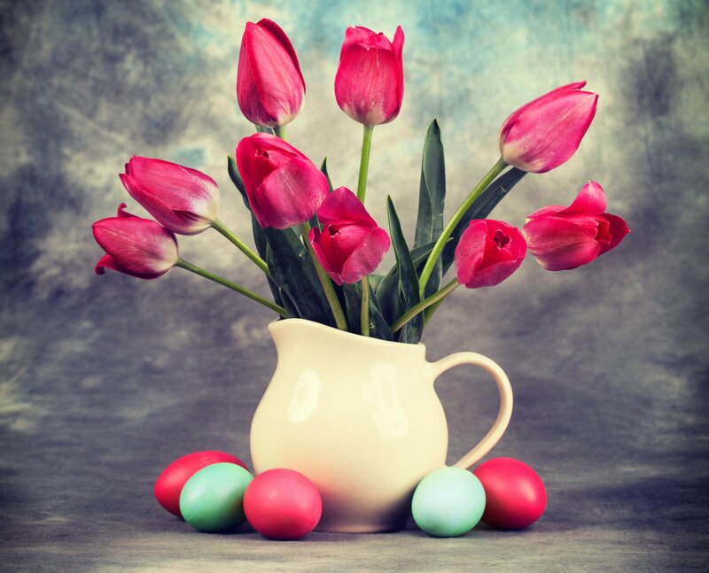Tulips in a Pitcher — Pink, Serene, Spring, Photograph