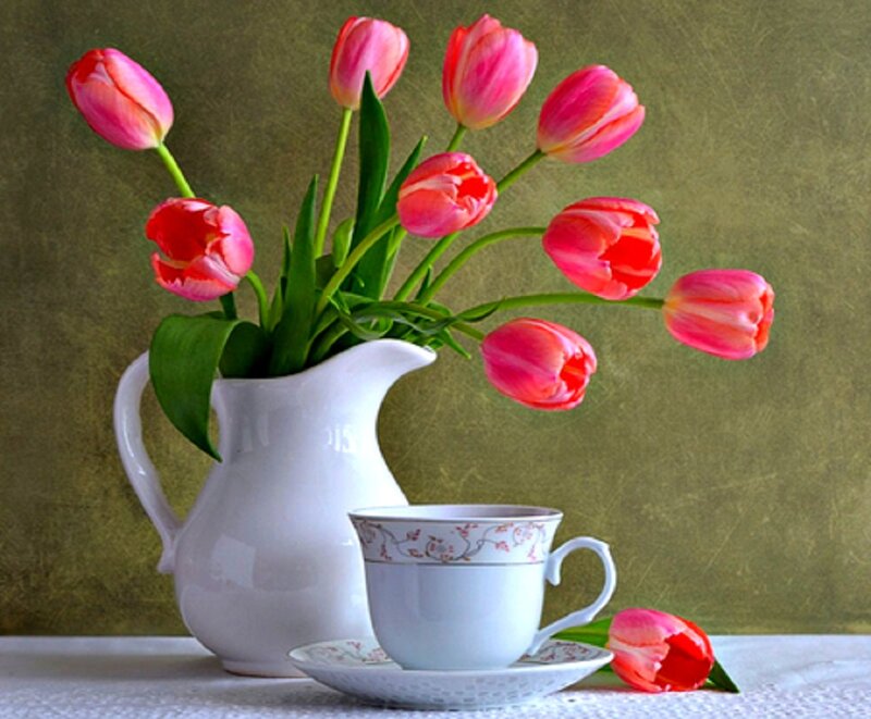 Tulips in a Pitcher — Pink, Serene, Spring