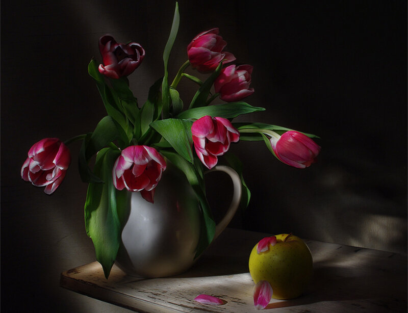 Tulips in a Pitcher — Pink