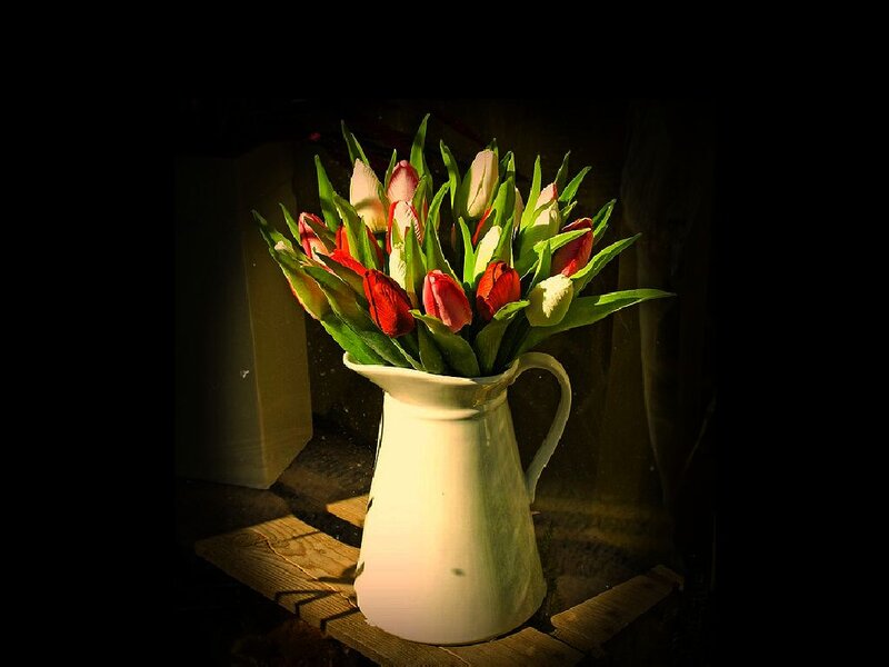 Tulips in a Pitcher — Red, Dramatic