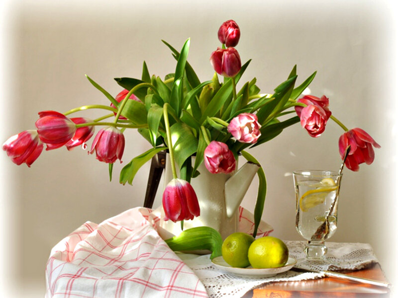 Tulips in a Pitcher — Red, Serene, Afternoon