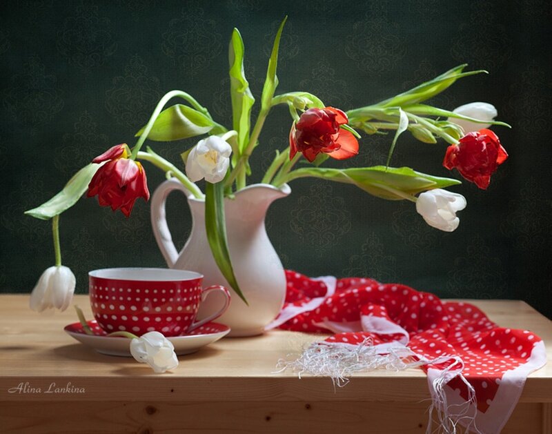 Tulips in a Pitcher — Red, Serene, Photograph