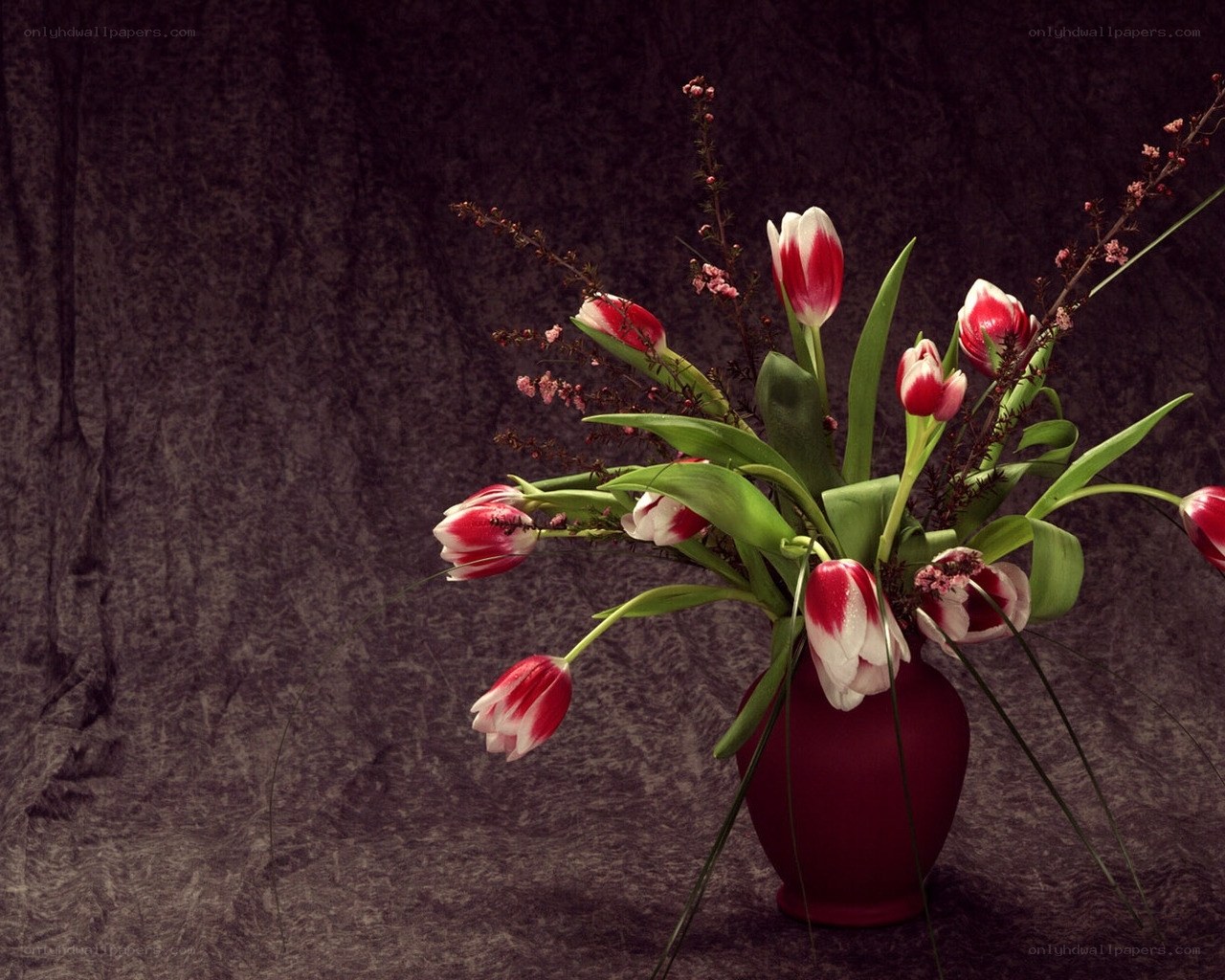 tulips in a red vase