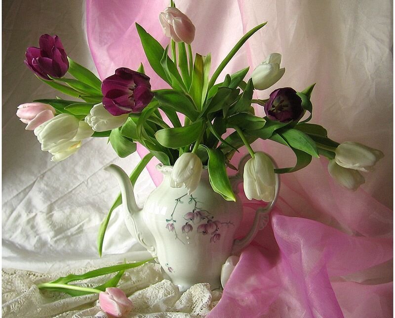 Tulips in a Teapot — Pink