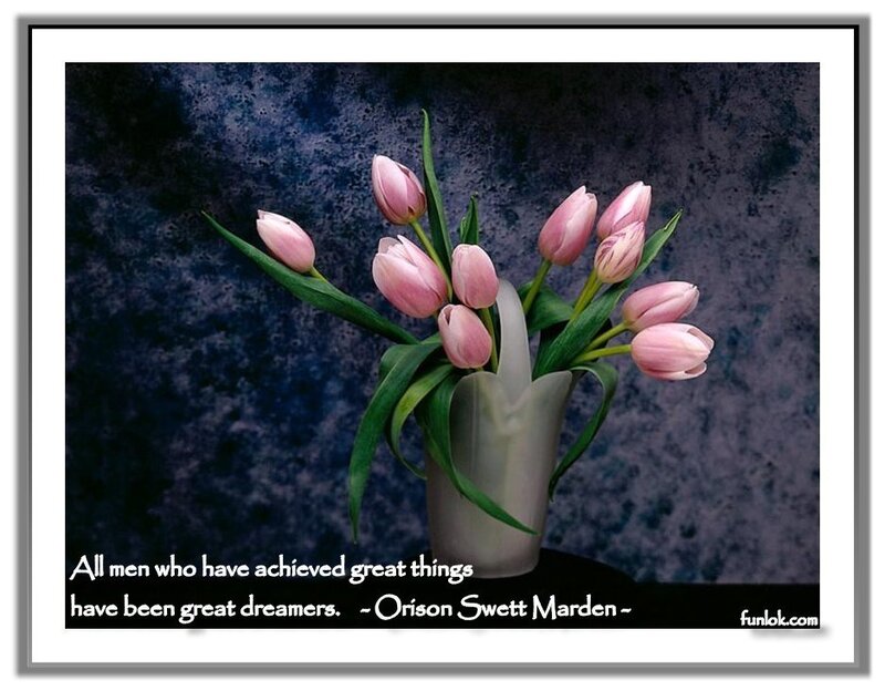 tulips in a vase