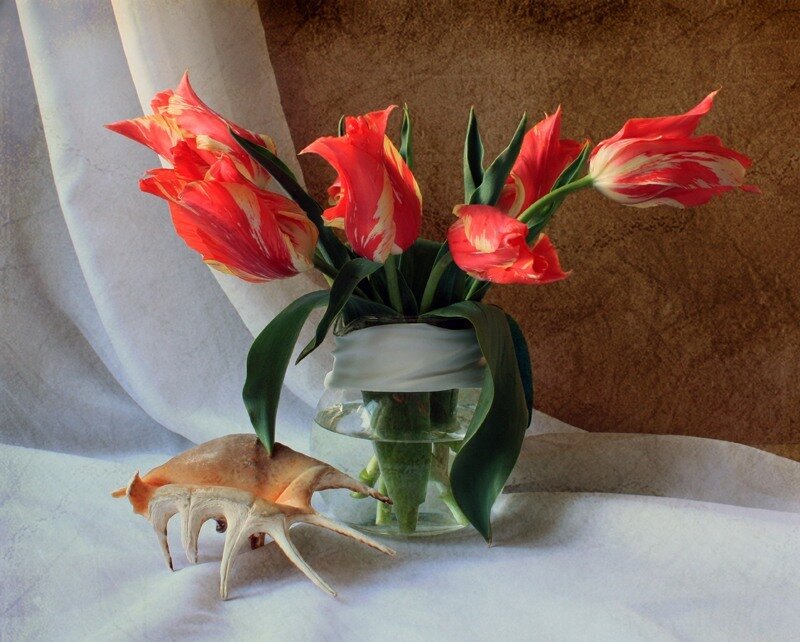 tulips in a vase