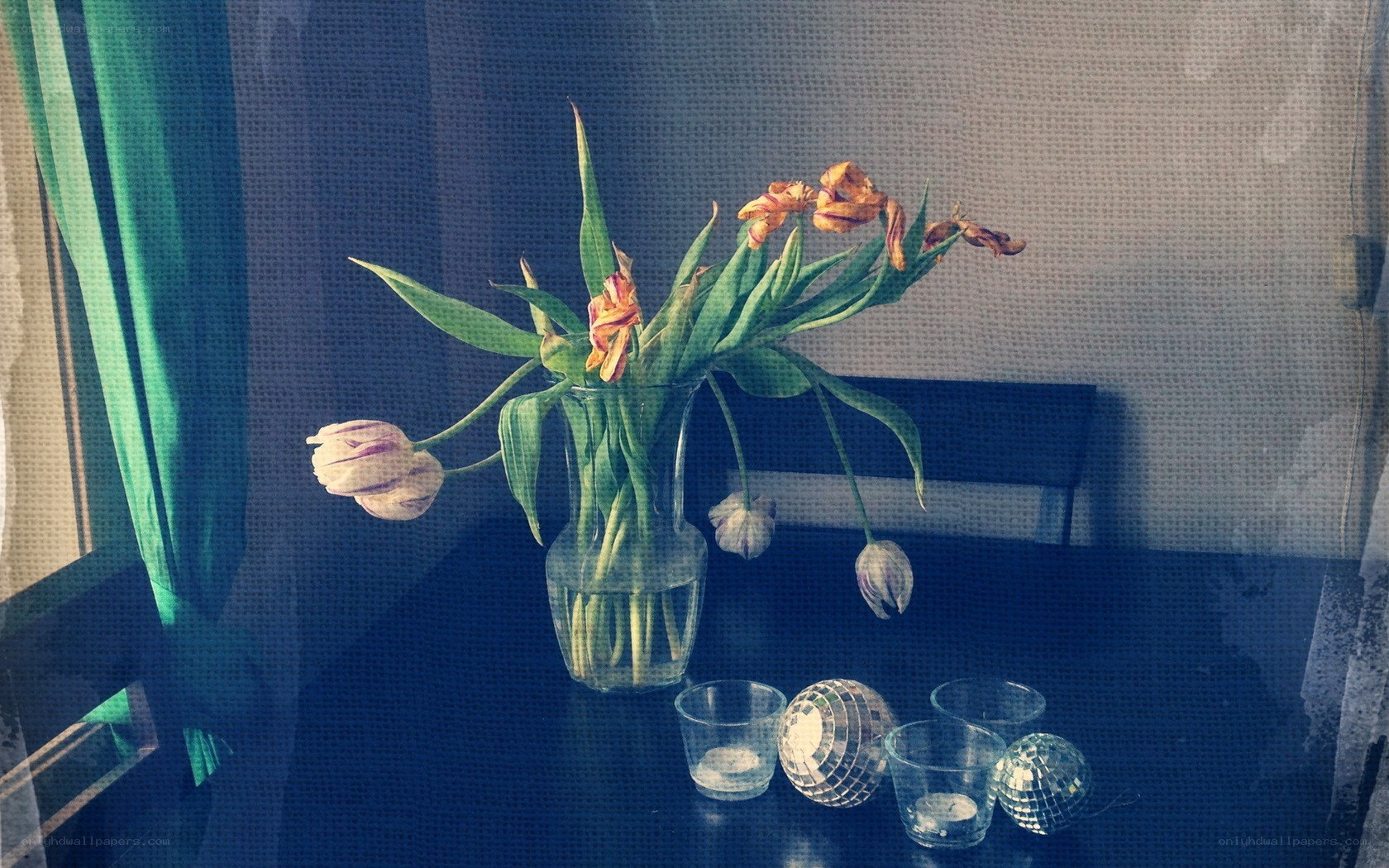 tulips in a vase