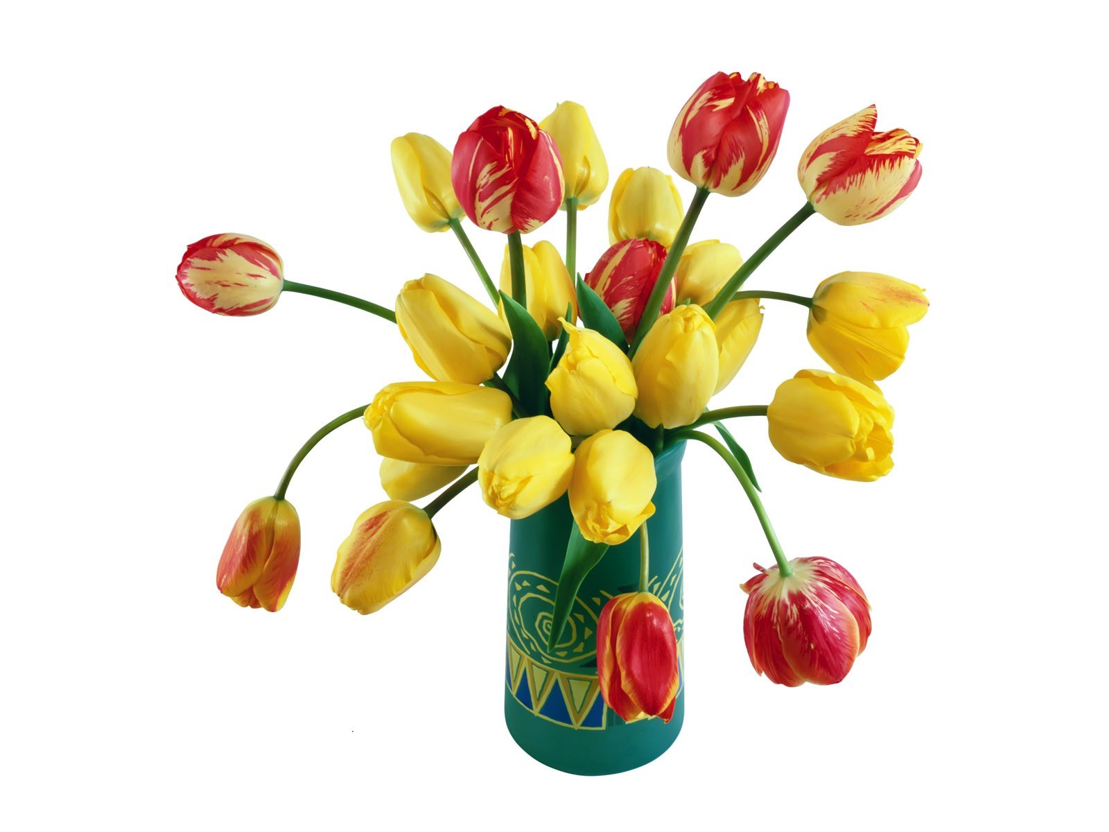 tulips in a vase