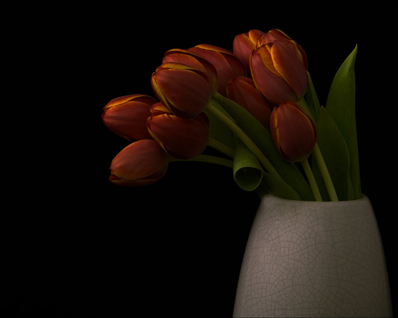 Tulips in a Vase — Black