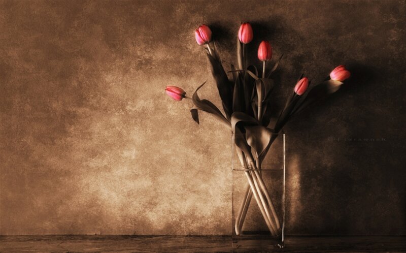 Tulips in a Vase — Brown, Dramatic, Photograph