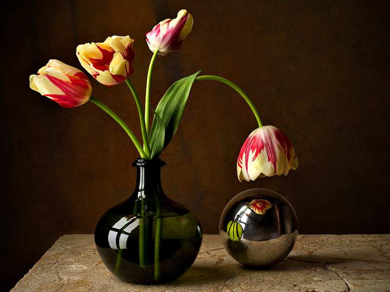 Tulips in a Vase — Brown, Dramatic