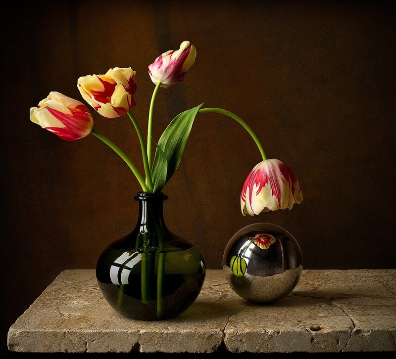 Tulips in a Vase — Brown