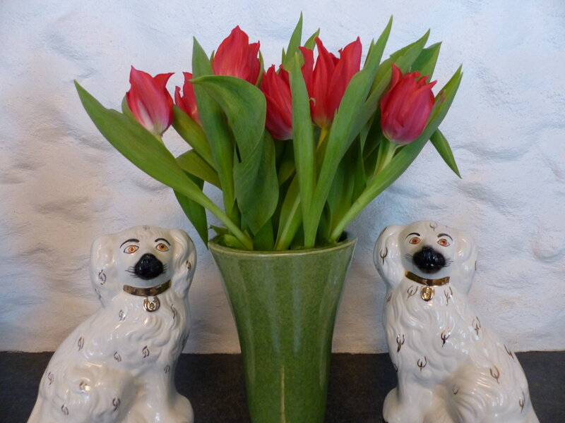 Tulips in a Vase — Green, Calm, Spring, Photograph