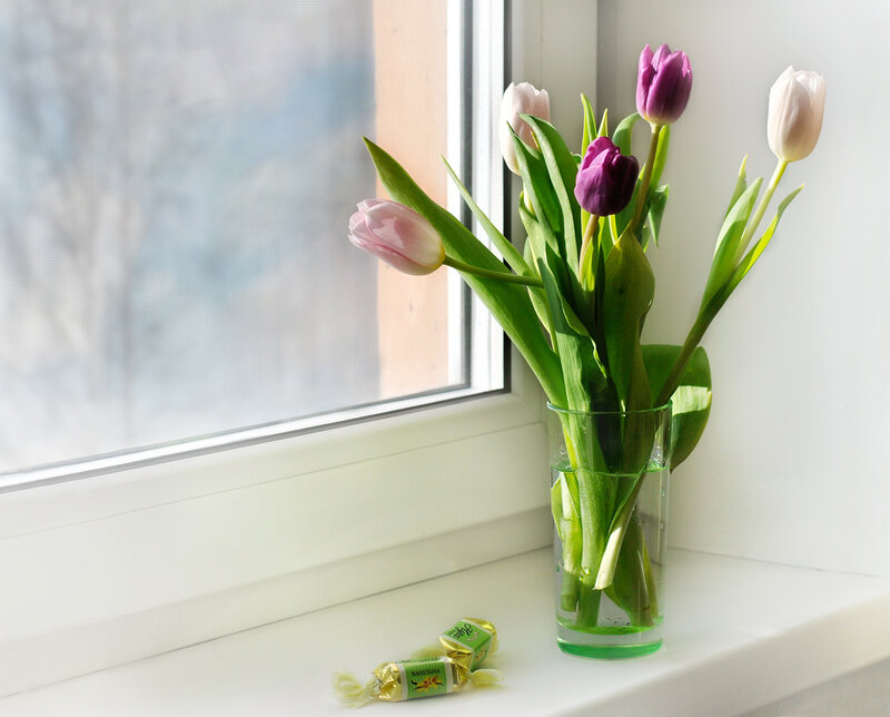 Tulips in a Vase — Green, Serene, Morning