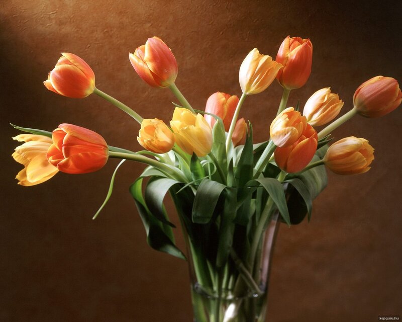 Tulips in a Vase — Orange, Calm, Photograph