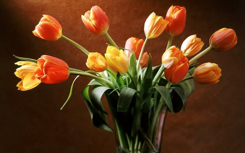 Tulips in a Vase — Orange, Dramatic, Photograph, Flowers
