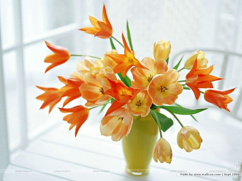 Tulips in a Vase — Orange, Serene