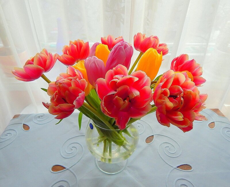 Tulips in a Vase — Pink, Calm, Morning, Photograph, Tablecloth