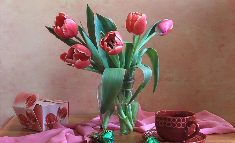 Tulips in a Vase — Pink, Calm, Morning