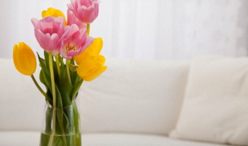 Tulips in a Vase — Pink, Calm, Spring, Photograph