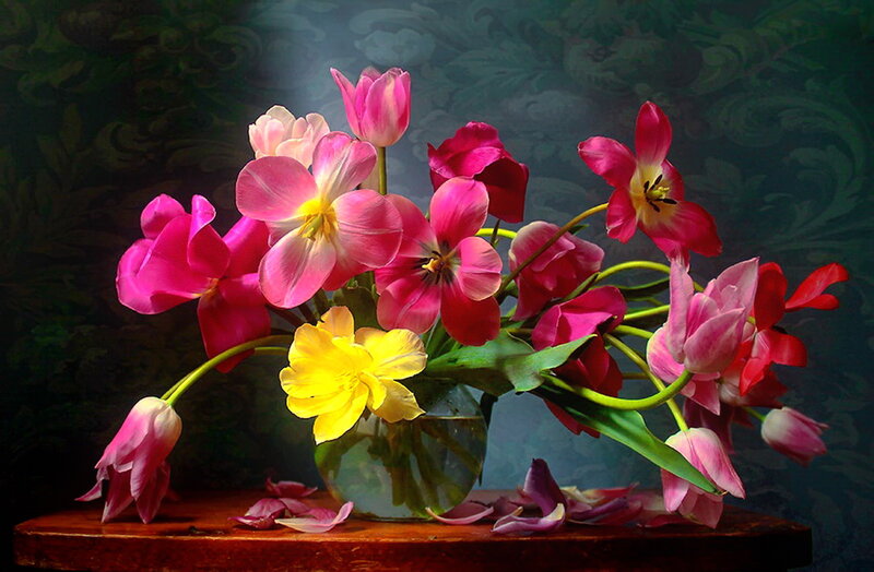 Tulips in a Vase — Pink, Dramatic, Photograph