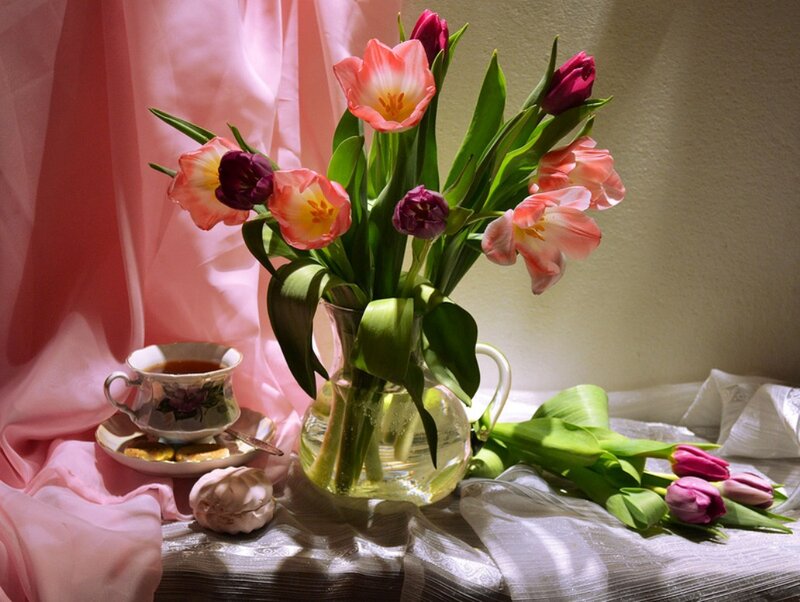 Tulips in a Vase — Pink, Serene, Morning