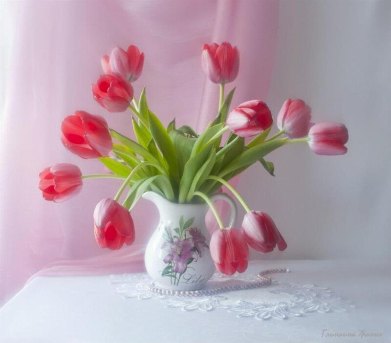 Tulips in a Vase — Pink, Serene, Photograph, Lace Doily