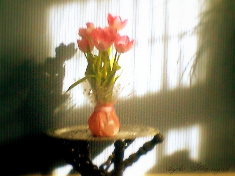Tulips in a Vase — Pink, Serene, Photograph, Table