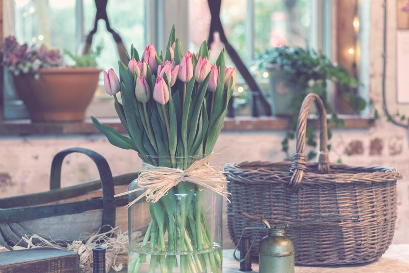 Tulips in a Vase — Pink, Serene, Spring, Photograph, Basket, Book