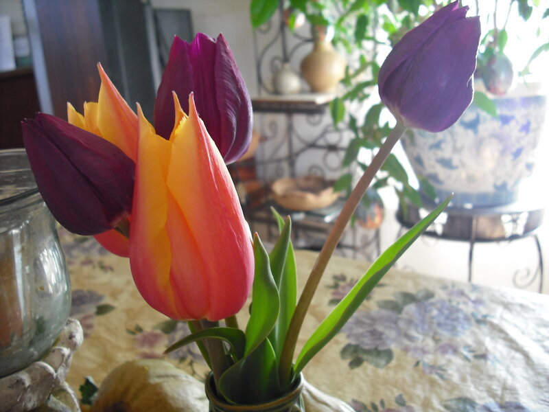 Tulips in a Vase — Purple, Calm, Afternoon, Photograph
