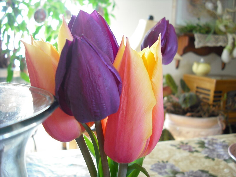 Tulips in a Vase — Purple, Calm, Afternoon