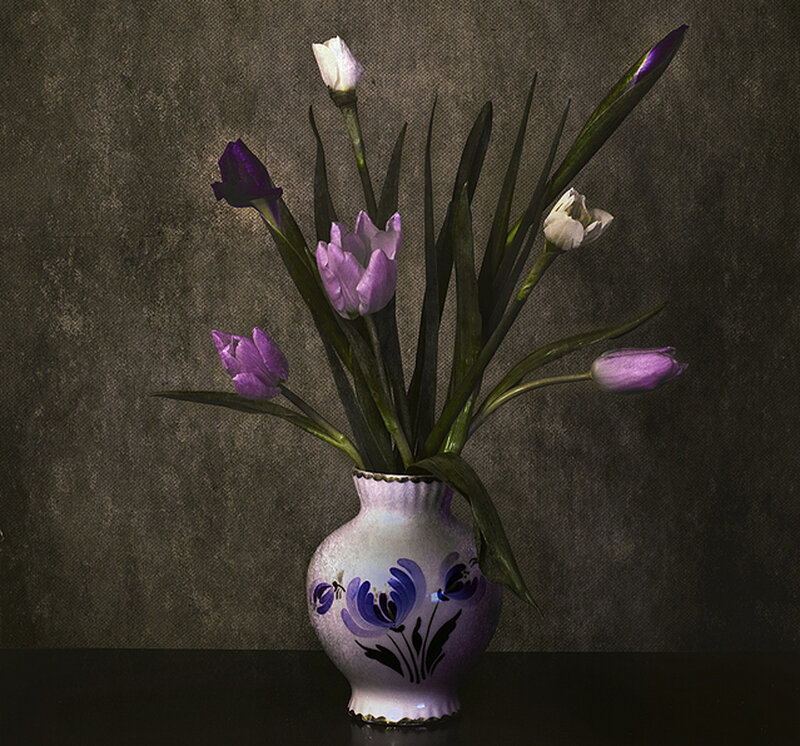 Tulips in a Vase — Purple, Dramatic, Photograph