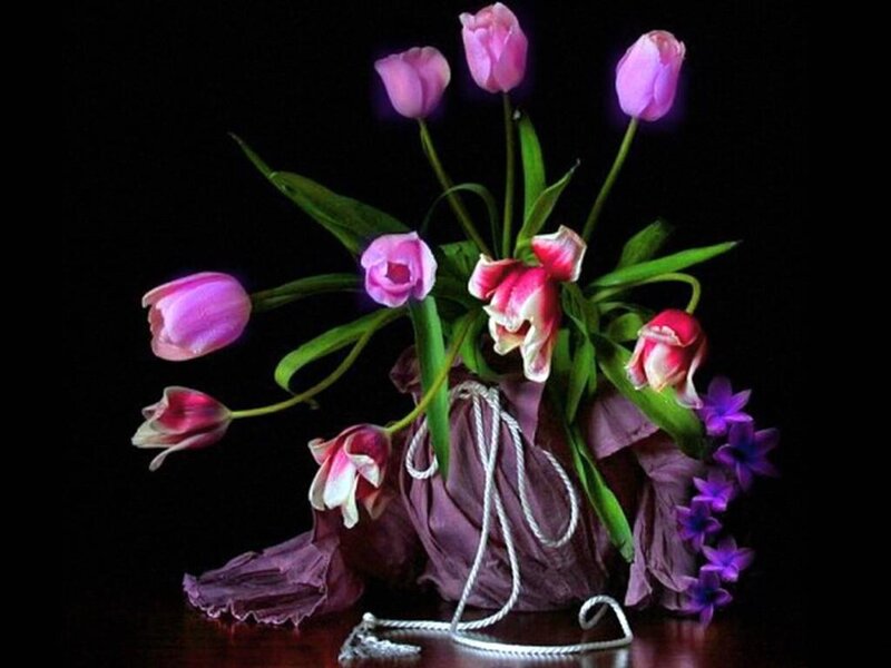 Tulips in a Vase — Purple, Dramatic