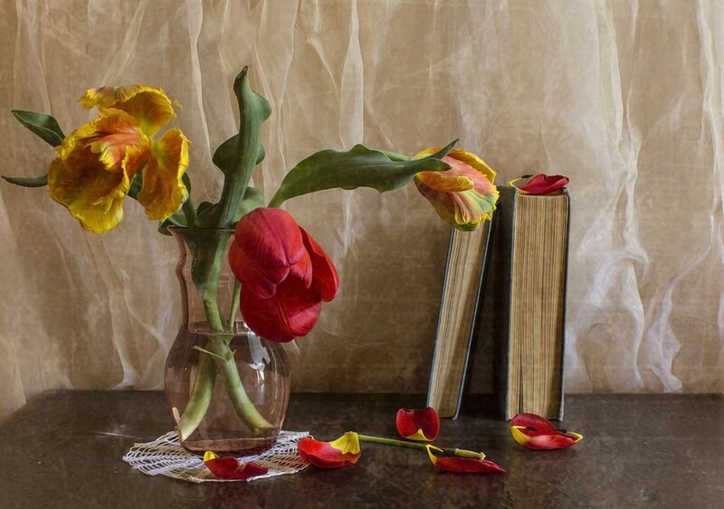 Tulips in a Vase — Red, Calm, Photograph, Books