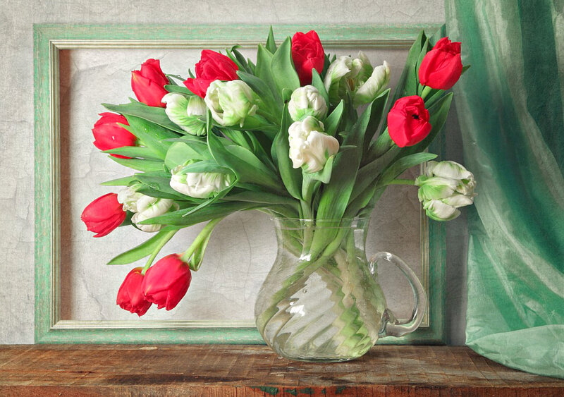 Tulips in a Vase — Red, Calm, Photograph, Frame