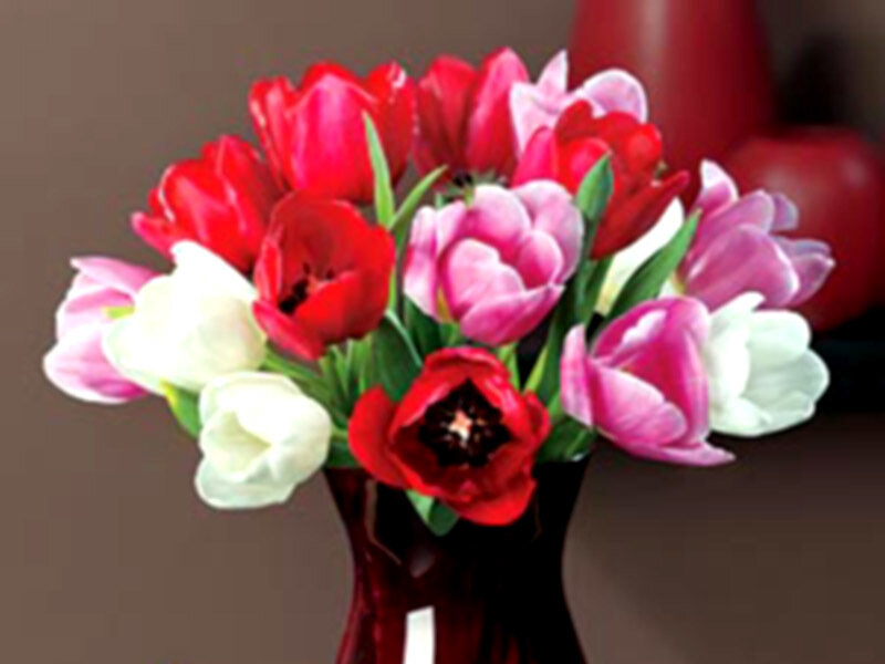 Tulips in a Vase — Red, Calm