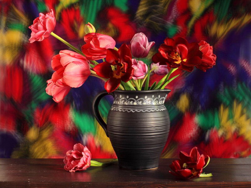 Tulips in a Vase — Red, Dramatic, Photograph, Table
