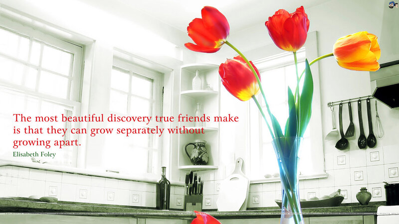 Tulips in a Vase — Red, Serene, Morning