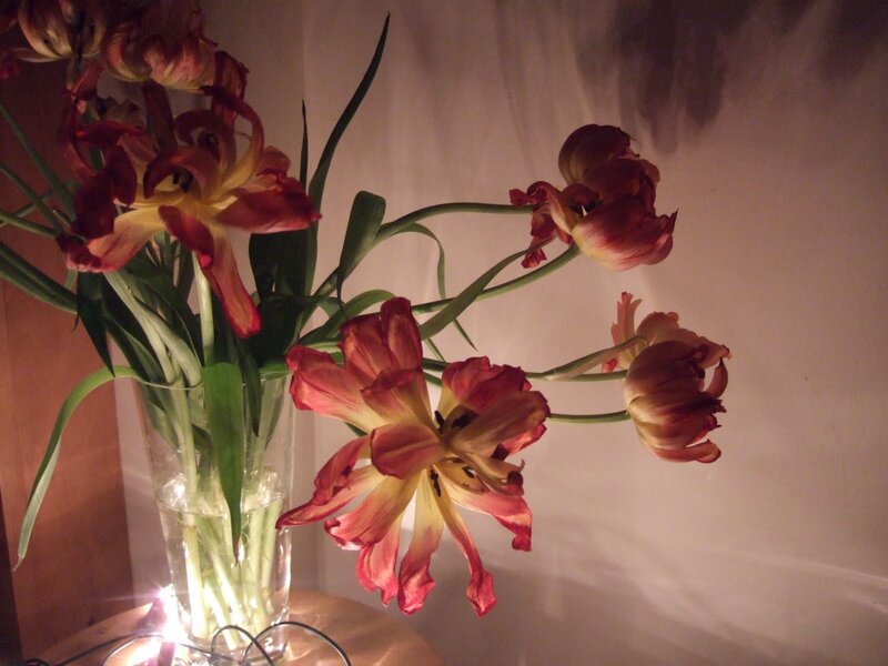 Tulips in a Vase — Red, Warm, Night