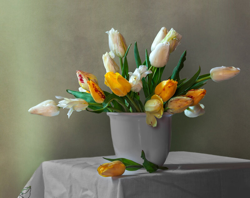 Tulips in a Vase — White, Calm, Photograph