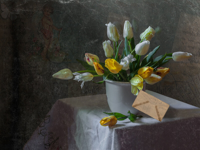 Tulips in a Vase — White, Dramatic, Photograph, Envelope