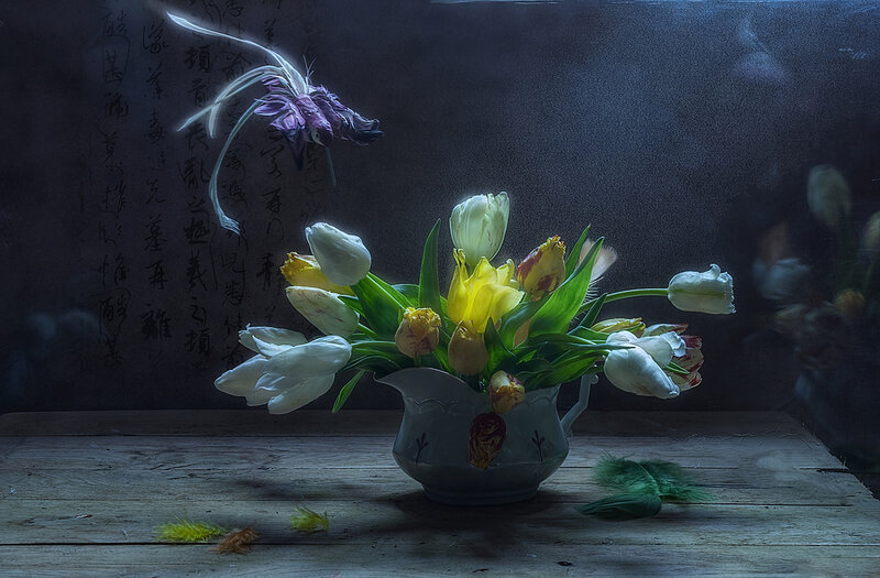 Tulips in a Vase — White, Dramatic, Photograph, Feathers
