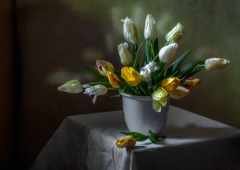 Tulips in a Vase — White, Dramatic, Photograph, Tablecloth